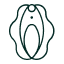 Cáncer de vulva